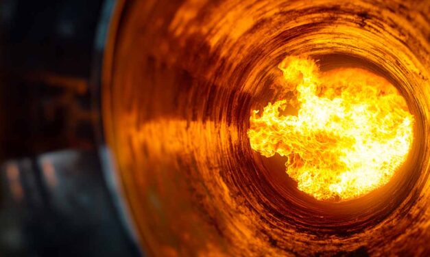 Smart Combustion Management: Reducing Costs and Carbon in Industrial Operations