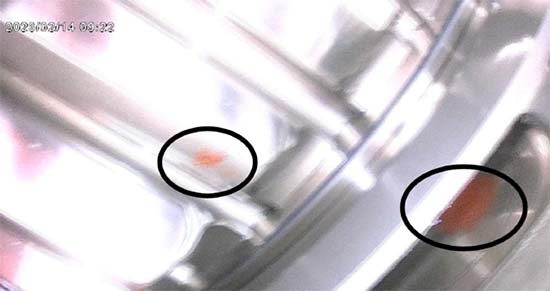 Figure 7.  Reddish corrosion staining on the bearing rolling elements.