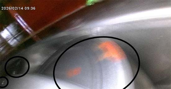 Figure 8.  Further corrosion marks across the rolling elements and races.