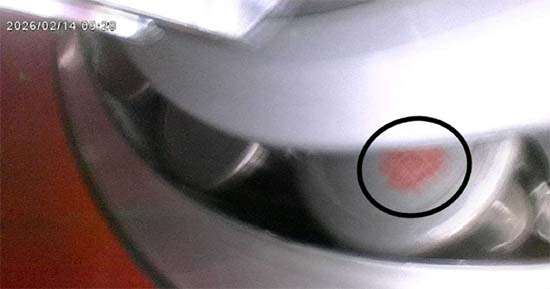 Figure 9.  A localized red corrosion stain on a single rolling element.